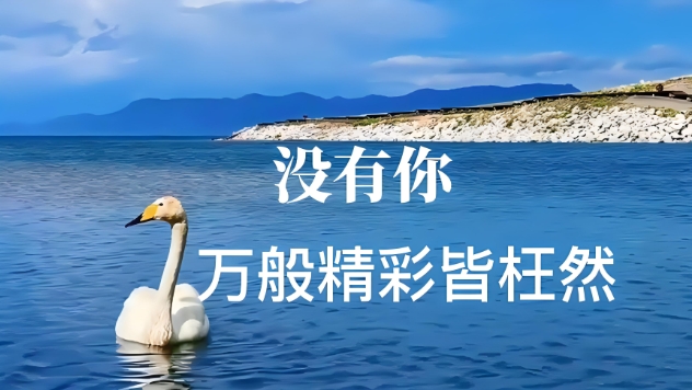 PHP 常用 header 状态代码